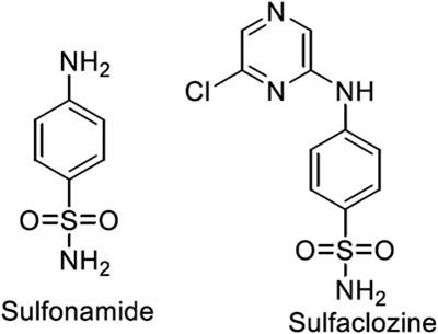 Practical and Computational Studies of Bivalence Metal Complexes of Sulfaclozine and Biological Studies